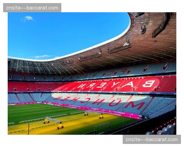 拜仁主场优势明显 安联球场本赛季保持极高胜率